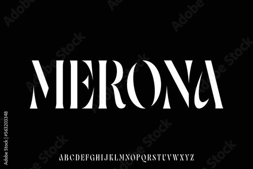 Unique and elegant abstract serif display font vector