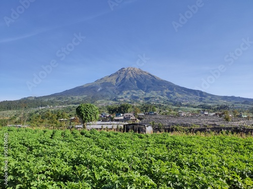 View of the majestic Sumbing Mountain in the clear sky  View of the Mountain from a distance with green farms in the background
