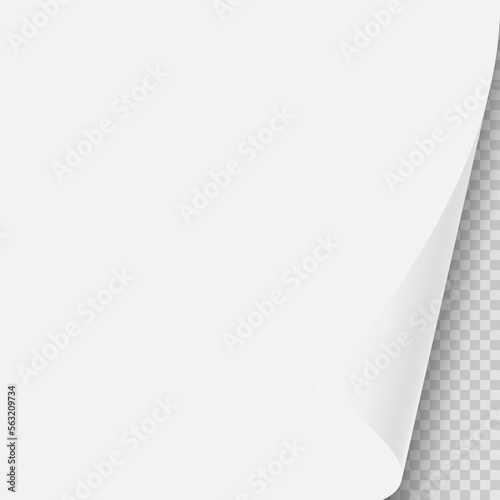 Curved page corner with shadow on a transparent background. Just insert your images. Vector illustration