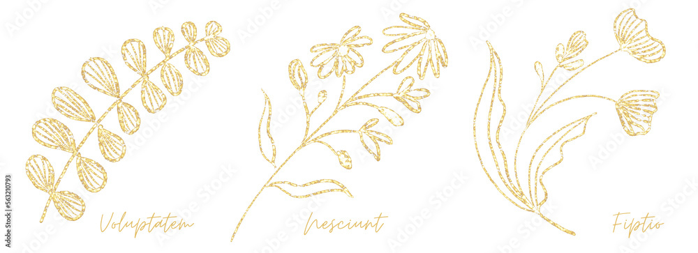 Gold outline doodle art botanical