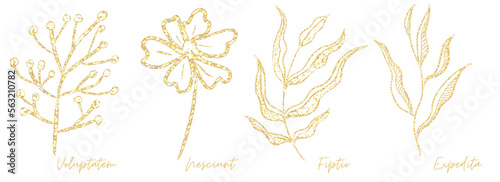 Wallpaper Mural Gold outline doodle art botanical Torontodigital.ca