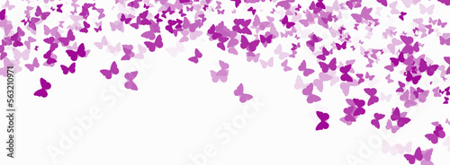 White background with pink confetti butterflies.