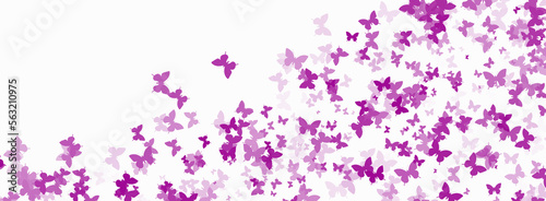 White background with pink confetti butterflies.