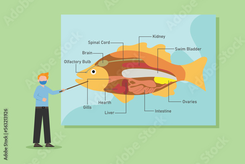 Teacher showing anatomy of fish