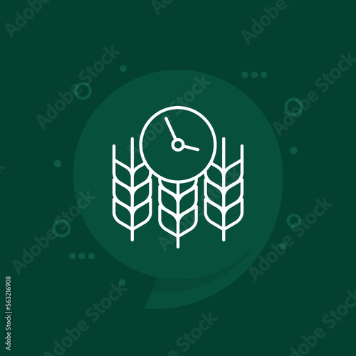 time to harvest line icon, vector