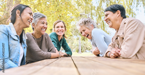 Park table, friends and women laughing at funny joke, crazy meme or comedy outdoors. Comic, happy and group of senior females with humor bonding, talking and enjoying quality time together in nature.
