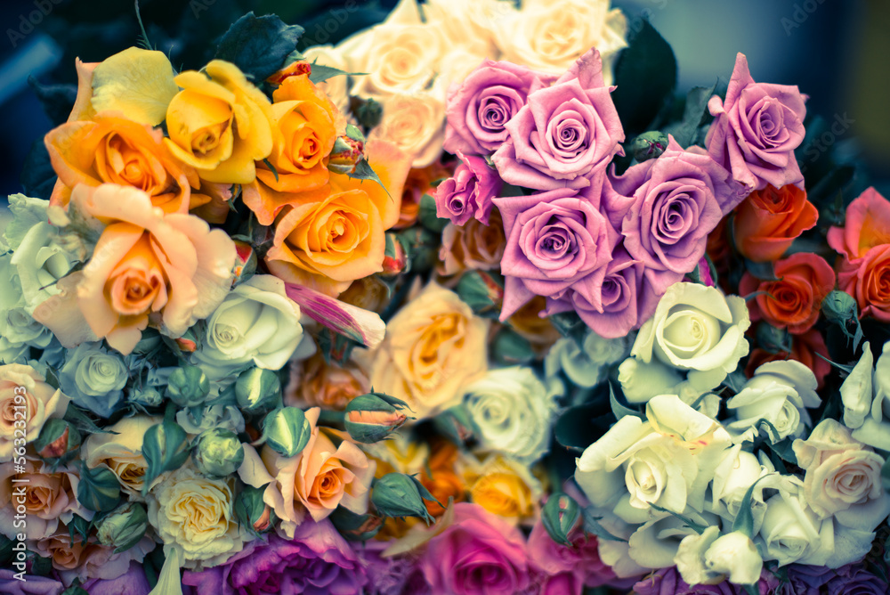 Colorful bunches of roses