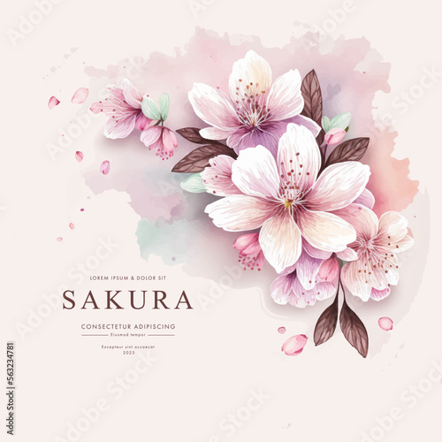 Collection of сherry blossom flowers and branches in vector watercolor style
