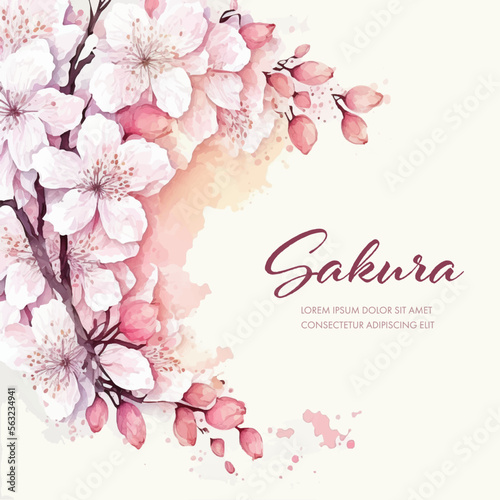 Collection of сherry blossom flowers and branches in vector watercolor style