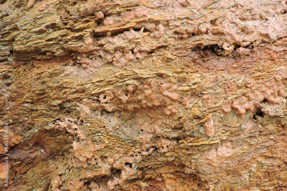 A brown and orange sedimentary rock containing sulfur and pyrite A brown and orange sedimentary rock containing sulfur and pyrite