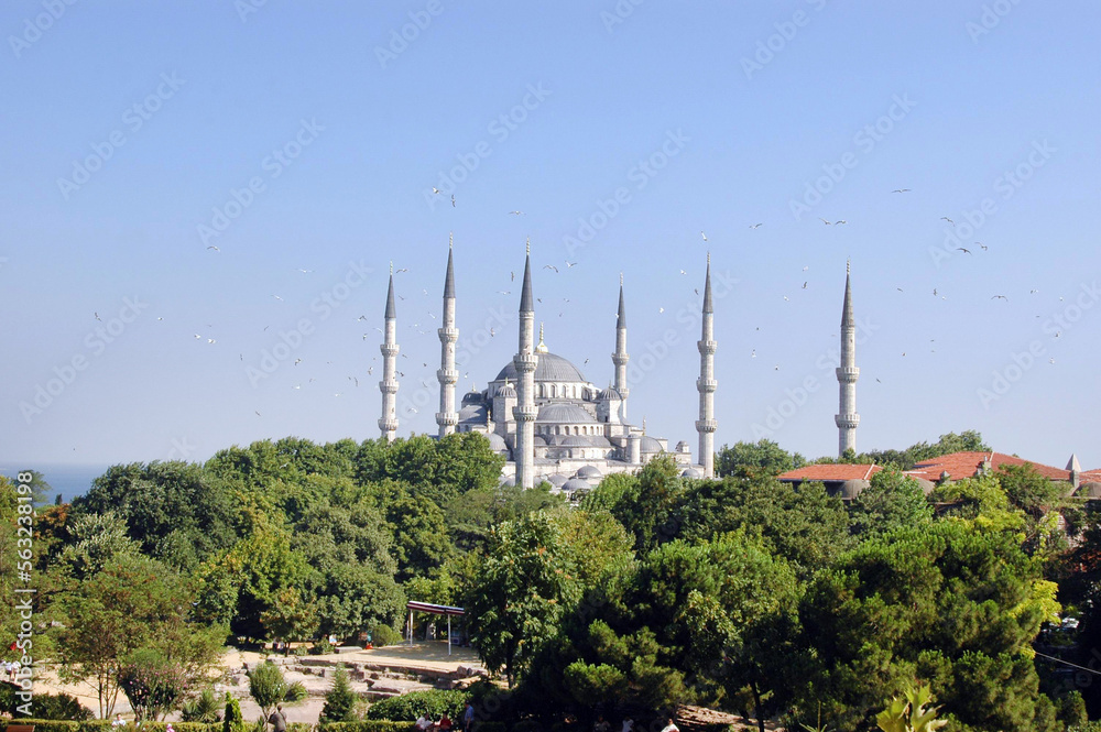 Sultanahmet Mosque among green trees in spring time. Istanbul, Turkey. 