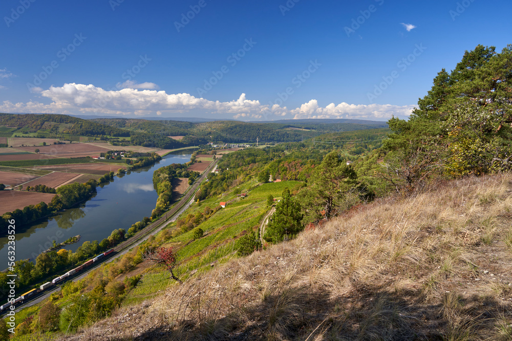 Obraz premium Weinbergterassen zwischen Gambach und Karlstadt im Naturschutzgebiet Grainberg-Kalbenstein , Landkreis Main-Spessart, Unterfranken, Bayern, Deutschland