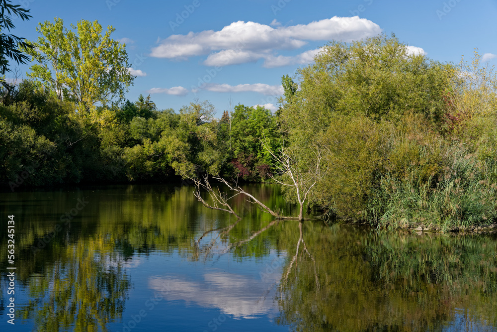 Kleine Seen am Main bei Sulzfeld am Main, Landkreis Kitzingen, Unterfranken, Franken, Bayern, Deutschland.