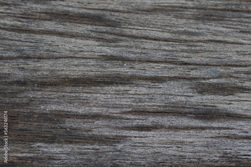 Wallpaper Mural Wood texture background for inserting text Torontodigital.ca