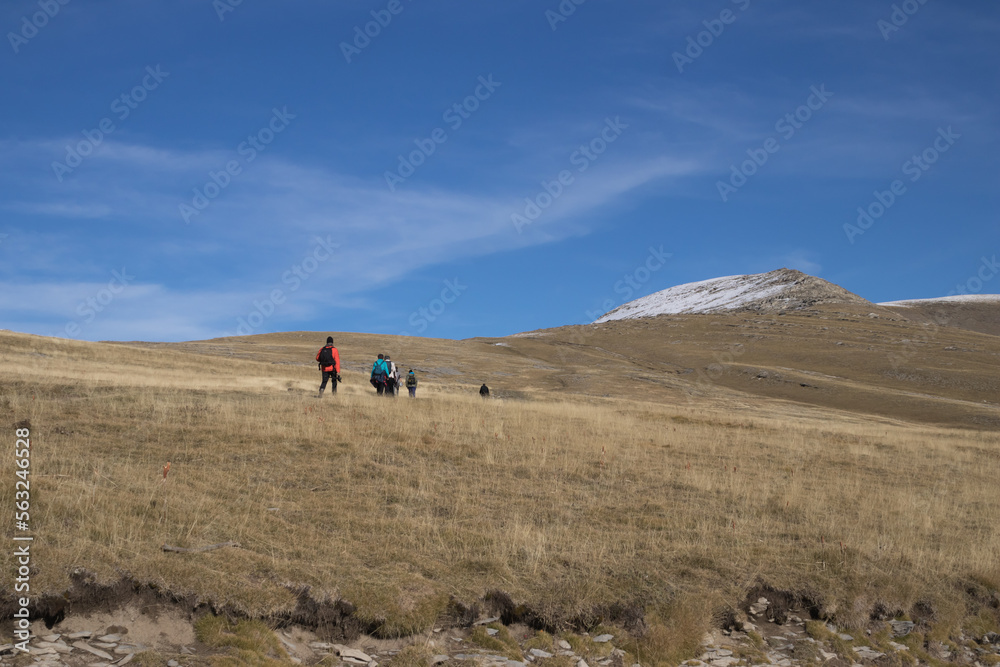 Group of people hiking. Excursion in nature. Mountain trail in the Pyrenees, Spain.
