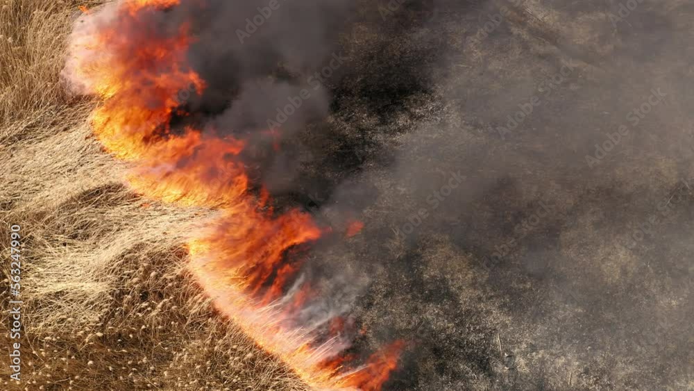 Burning of vegetative growth with dense black smoke above. Drone footage of burned out grass fields. High quality 4k footage