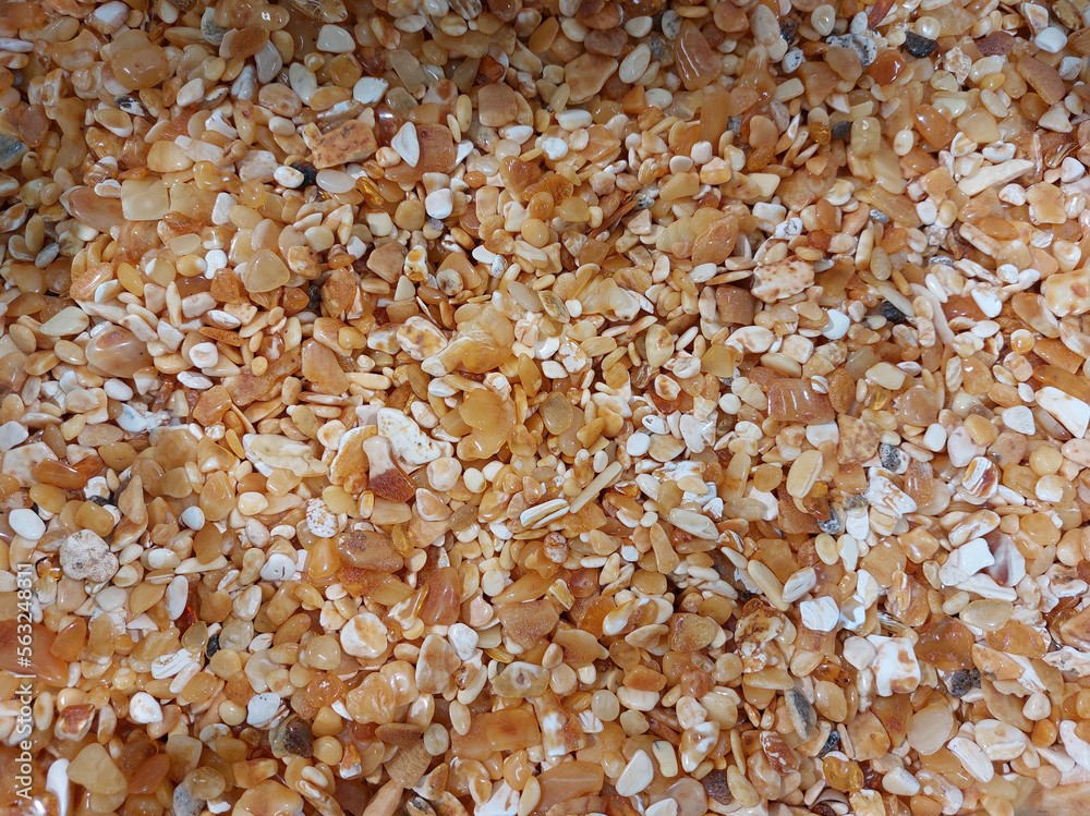 many small polished pieces of Baltic amber many small polished pieces of Baltic amber