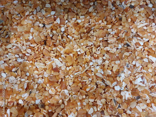 many small polished pieces of Baltic amber