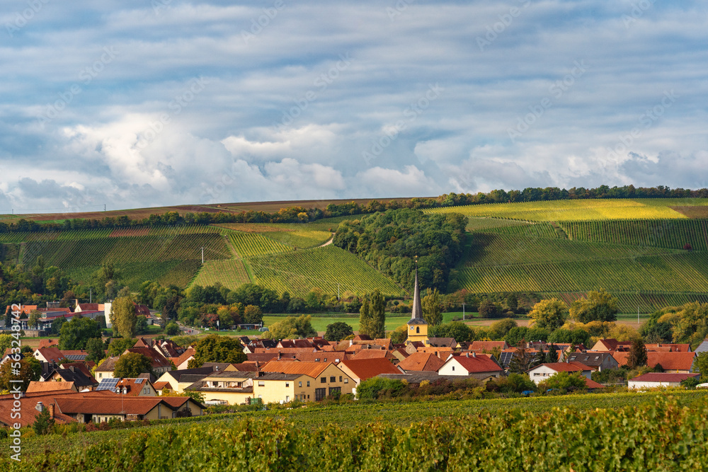 Blick auf Fahr am Main von der Weinlage Volkacher Ratsherr, Landkreis Kitzingen, Unterfanken, Bayern, Deutschland