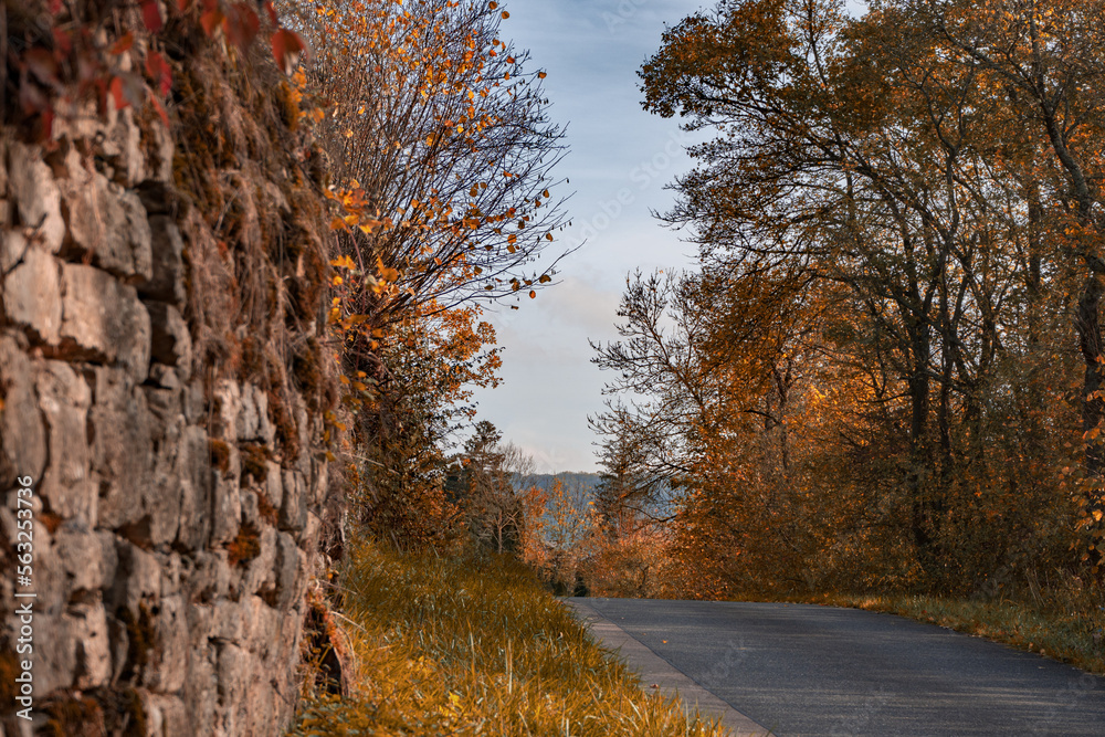 Kleine Straße mit Stützmauer im Herbst eingefasst von an einem Hang Kleine Straße mit Stützmauer im Herbst eingefasst von an einem Hang