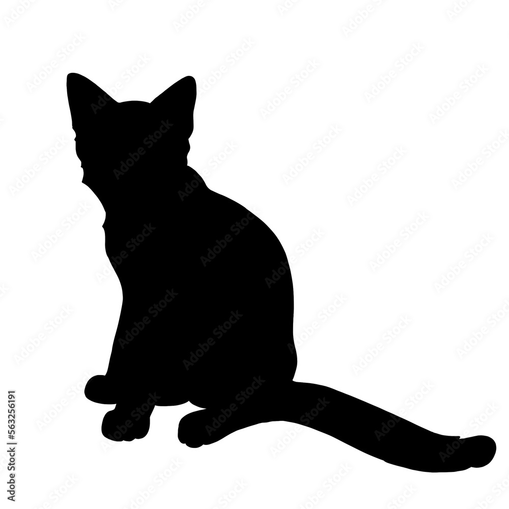 silhoulette of a cat