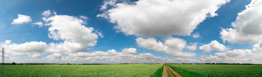 panorama of a summer landscape with a green field and a blue sky panorama of a summer landscape with a green field and a blue sky