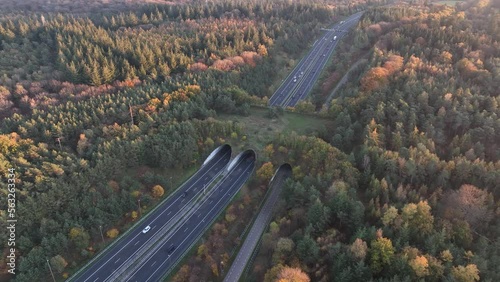 Eco passage is an infrastructure solution that allows wildlife to safely cross busy roads and highways, preserving habitats and reducing animal-vehicle collisions. photo