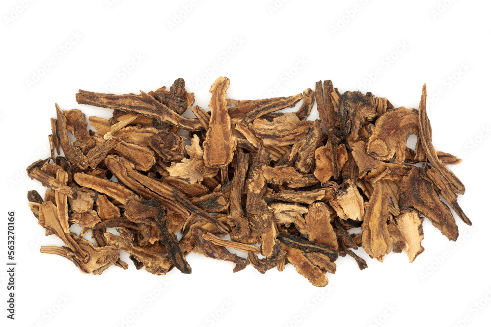 Hog fennel root Chinese herbal plant medicine, is antispasmodic, diaphoretic, diuretic. Used to treat respiratory illnesses, catarrh, coughs, fever. Used as incense. Qian hu. On white. Hog fennel root Chinese herbal plant medicine, is antispasmodic, diaphoretic, diuretic. Used to treat respiratory illnesses, catarrh, coughs, fever. Used as incense. Qian hu. On white.