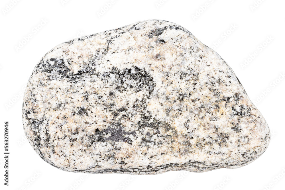 Top view of single gray pebble Top view of single gray pebble
