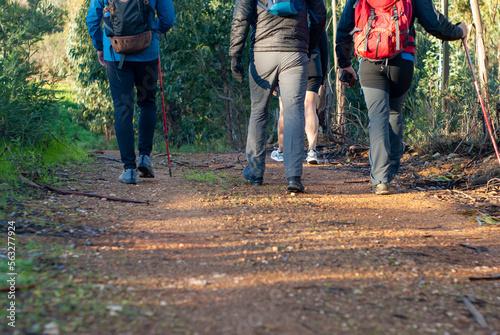 Imagen de la mitad inferior del cuerpo de unos senderistas mientras caminan por un bosque. photo