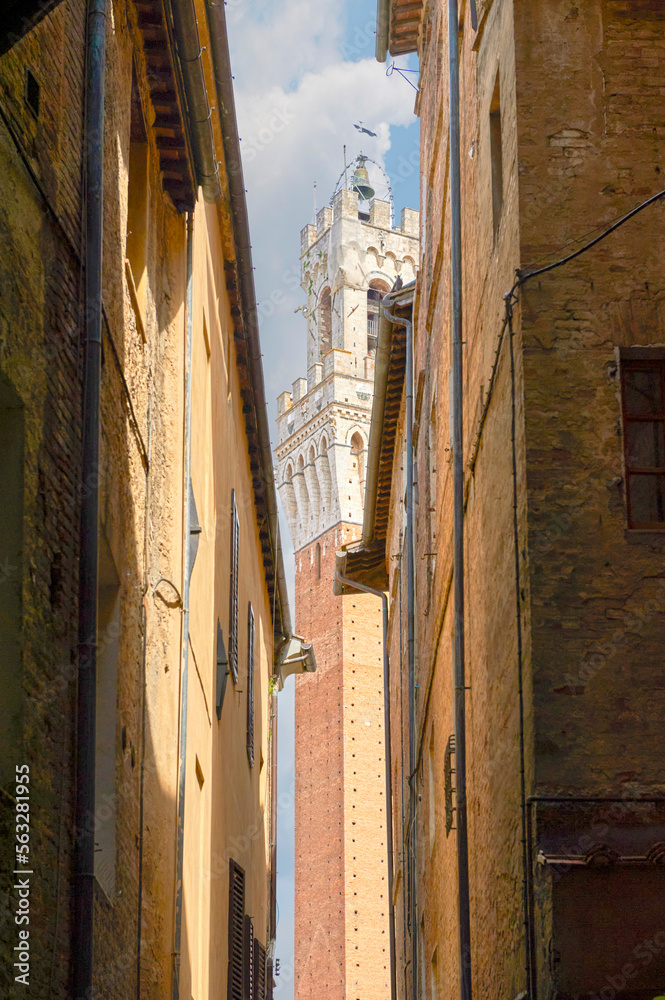 Fototapeta premium View on Torre del Mangia on Piazza del Campo from the narrow streets in the old town of Siena, Italy