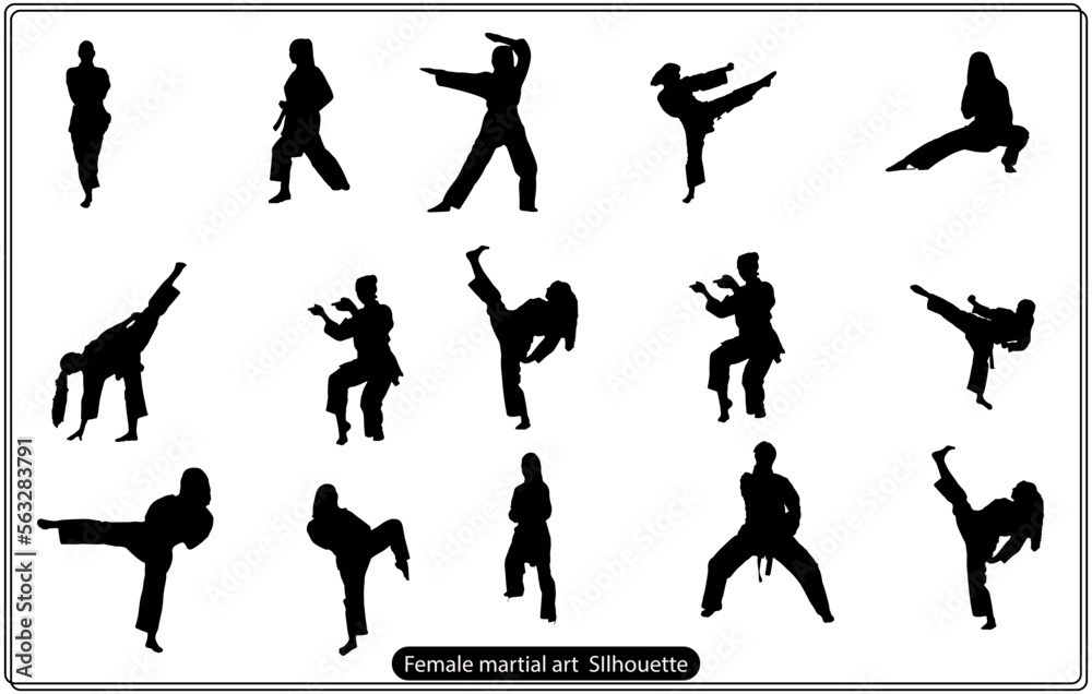 Set of fitness women exercise, do martial arts and yoga, in a group of