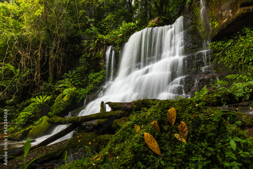 Beautiful waterfall in Phu Hin Rong Kla National Park, Phitsanulok  province, ThaiLand.