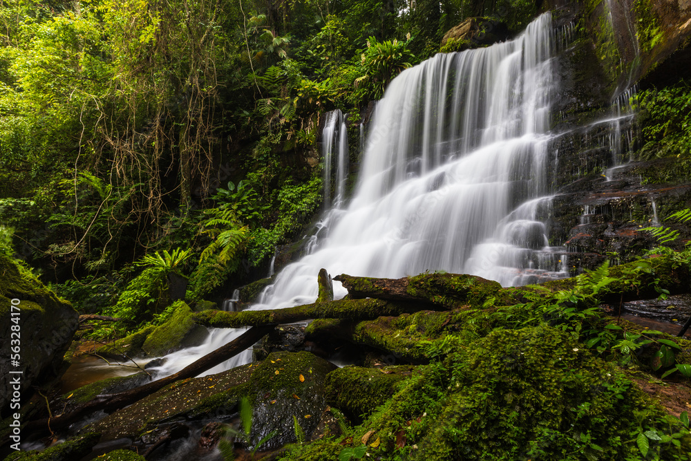 Beautiful waterfall in Phu Hin Rong Kla National Park, Phitsanulok  province, ThaiLand.