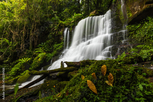 Beautiful waterfall in Phu Hin Rong Kla National Park  Phitsanulok  province  ThaiLand.