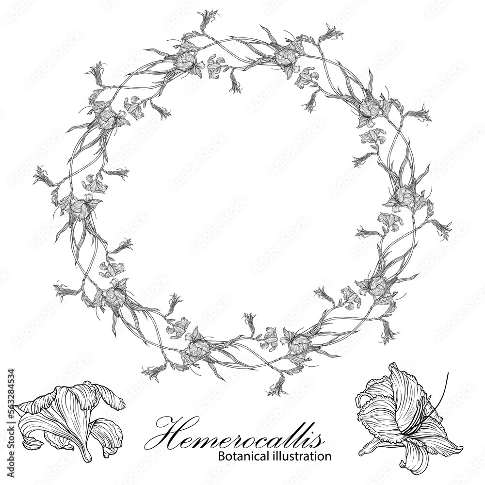 Floral wreath with graphic romantic flowers.