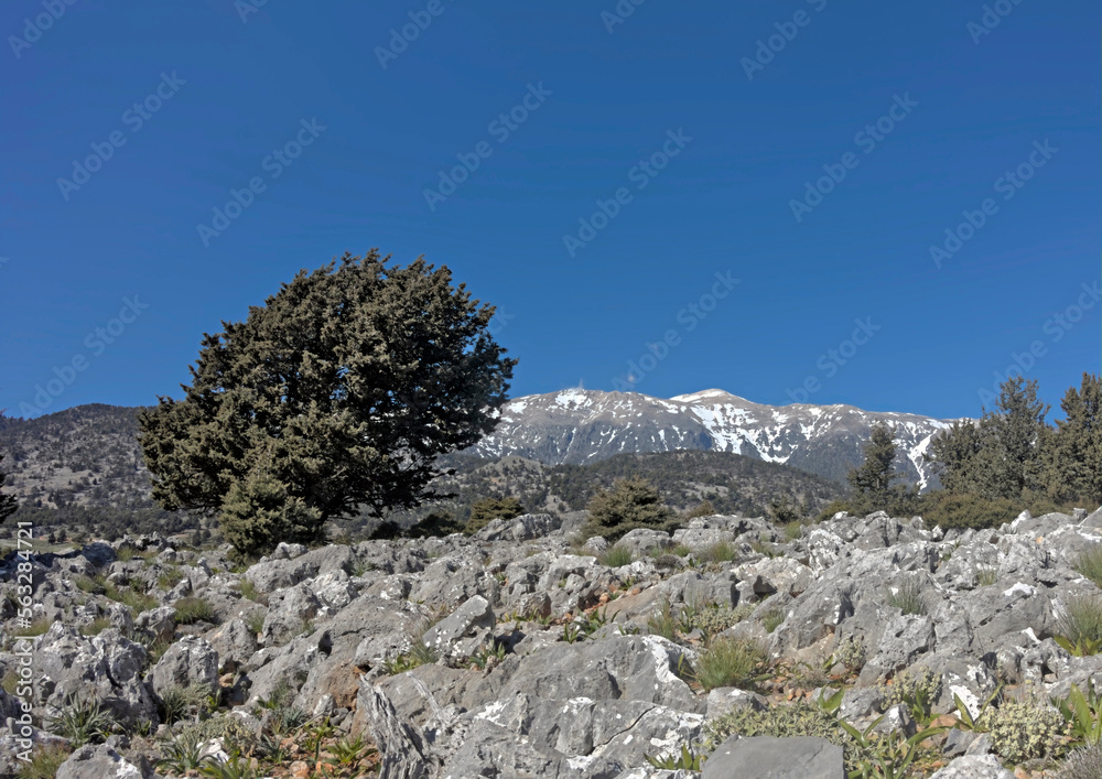 Landscape at Aradena, Sfakia, S Crete, Greece. View of Lefka Ori mt Landscape at Aradena, Sfakia, S Crete, Greece. View of Lefka Ori mt