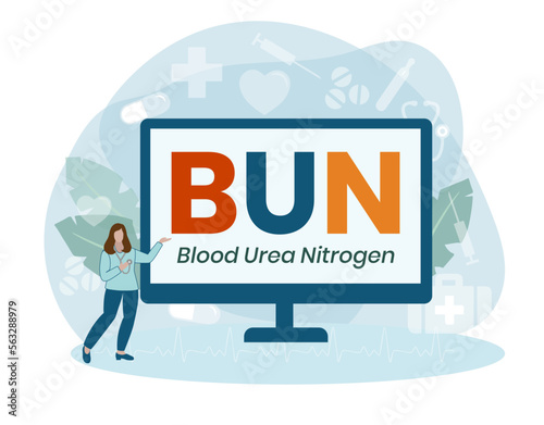 BUN - Blood Urea Nitrogen acronym. medical concept background. Vector illustration for website banner, marketing materials, business presentation, online advertising