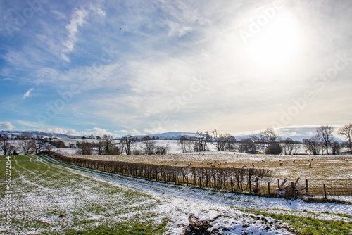 Winter landscape in Wales. © Jenn's Photography 
