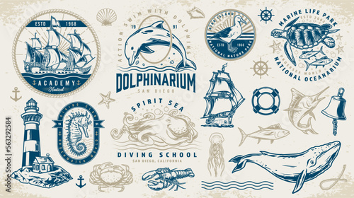 Fotografia Marine adventure logotypes set colorful