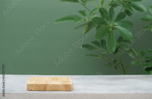 Fototapeta Naklejka Na Ścianę i Meble -  wood podium on table top green monstera tropical plant with space background.promotion beauty cosmetic and healthy natural product placement pedestal platform display,spring or summer advertising.