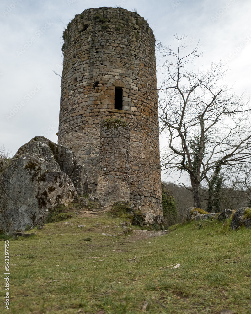 Château de l'Ours à Sainte-Thérence dans l'Allier, région Auvergne-Rhône-Alpes (en ruine) 
