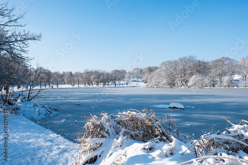 Westpark München im Winter mit Schnee und Westsee
