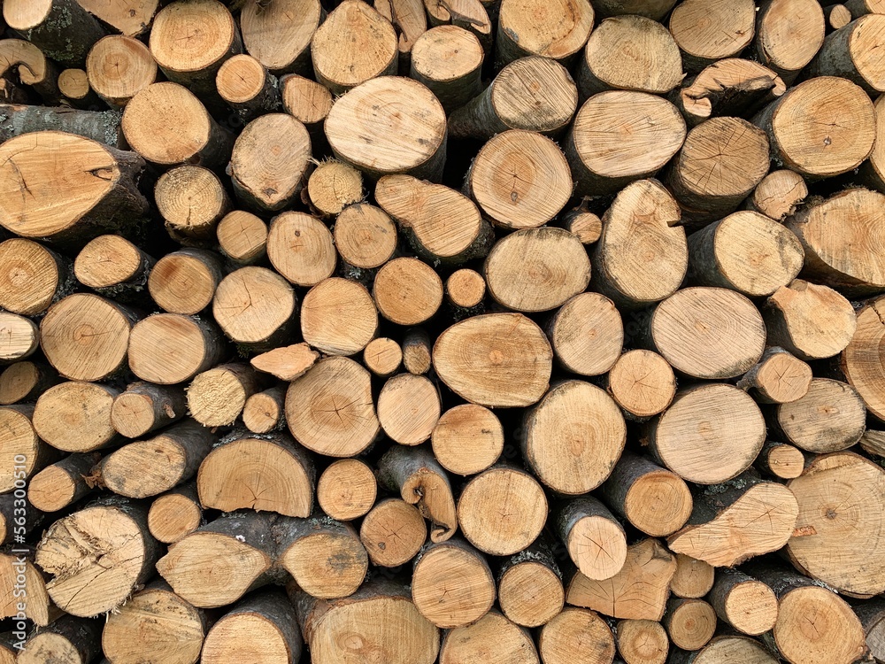 Background texture - stacked firewood prepared for winter. Round timber in a stack, blanks of chopped tree trunks. Firewood wall, dry chopped firewood background. Background texture - stacked firewood prepared for winter. Round timber in a stack, blanks of chopped tree trunks. Firewood wall, dry chopped firewood background.