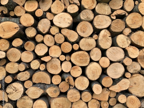 Background texture - stacked firewood prepared for winter. Round timber in a stack, blanks of chopped tree trunks. Firewood wall, dry chopped firewood background.