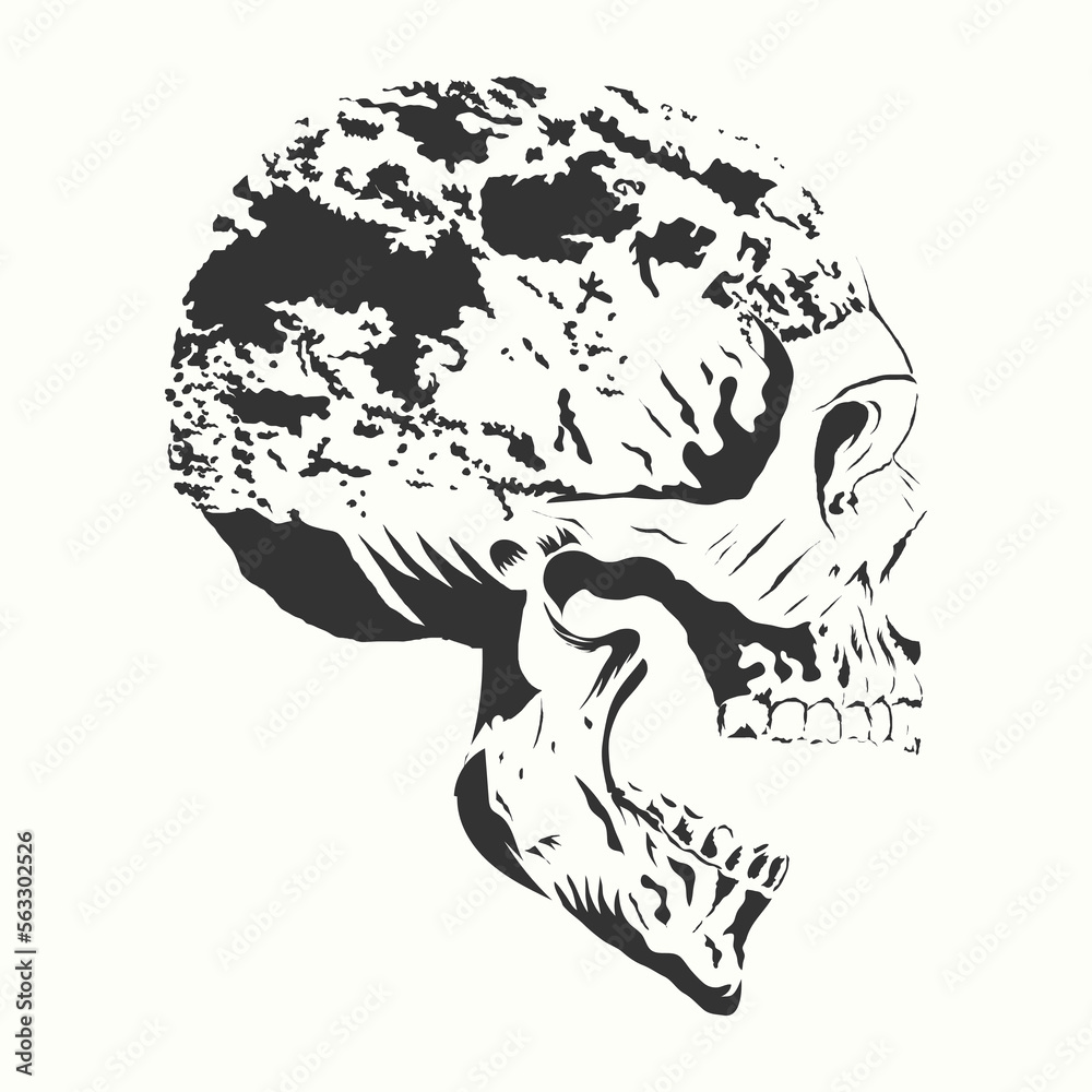 Vector human skull drawing, Human skull front view Illustration.