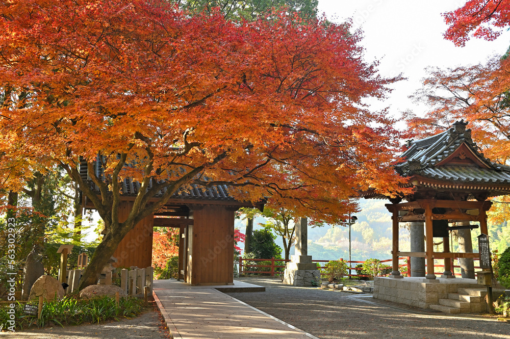 Obraz premium 紅葉期の大興善寺「仁王門（山門）と鐘楼」