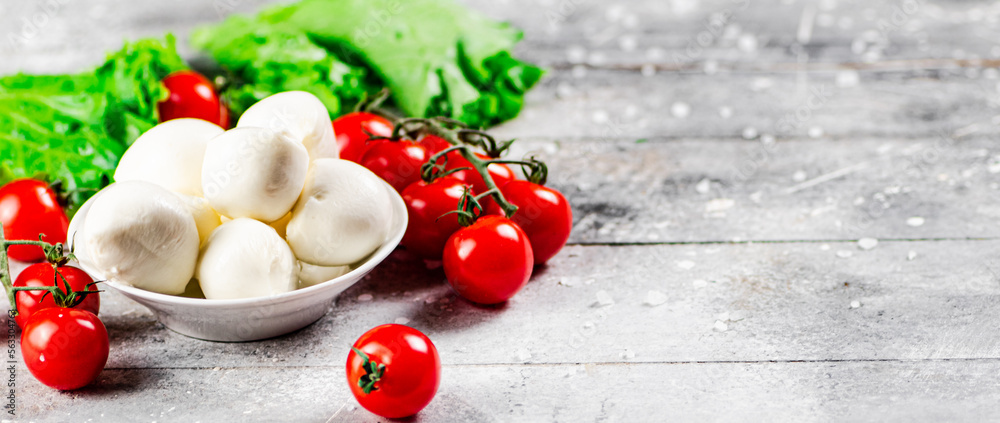 Mozzarella cheese with cherry tomatoes and herbs. Mozzarella cheese with cherry tomatoes and herbs.