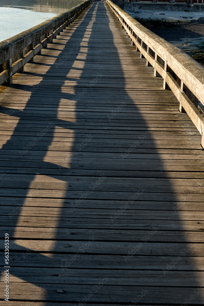 wooden pier at Le Treport beach, Normandy, France wooden pier at Le Treport beach, Normandy, France