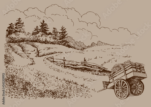 Rural scenery. Meadow, alkali, lye, grassland, pommel, lea, pasturage, farm. Rural scenery landscape panorama of countryside pastures. Vector sketch illustration
